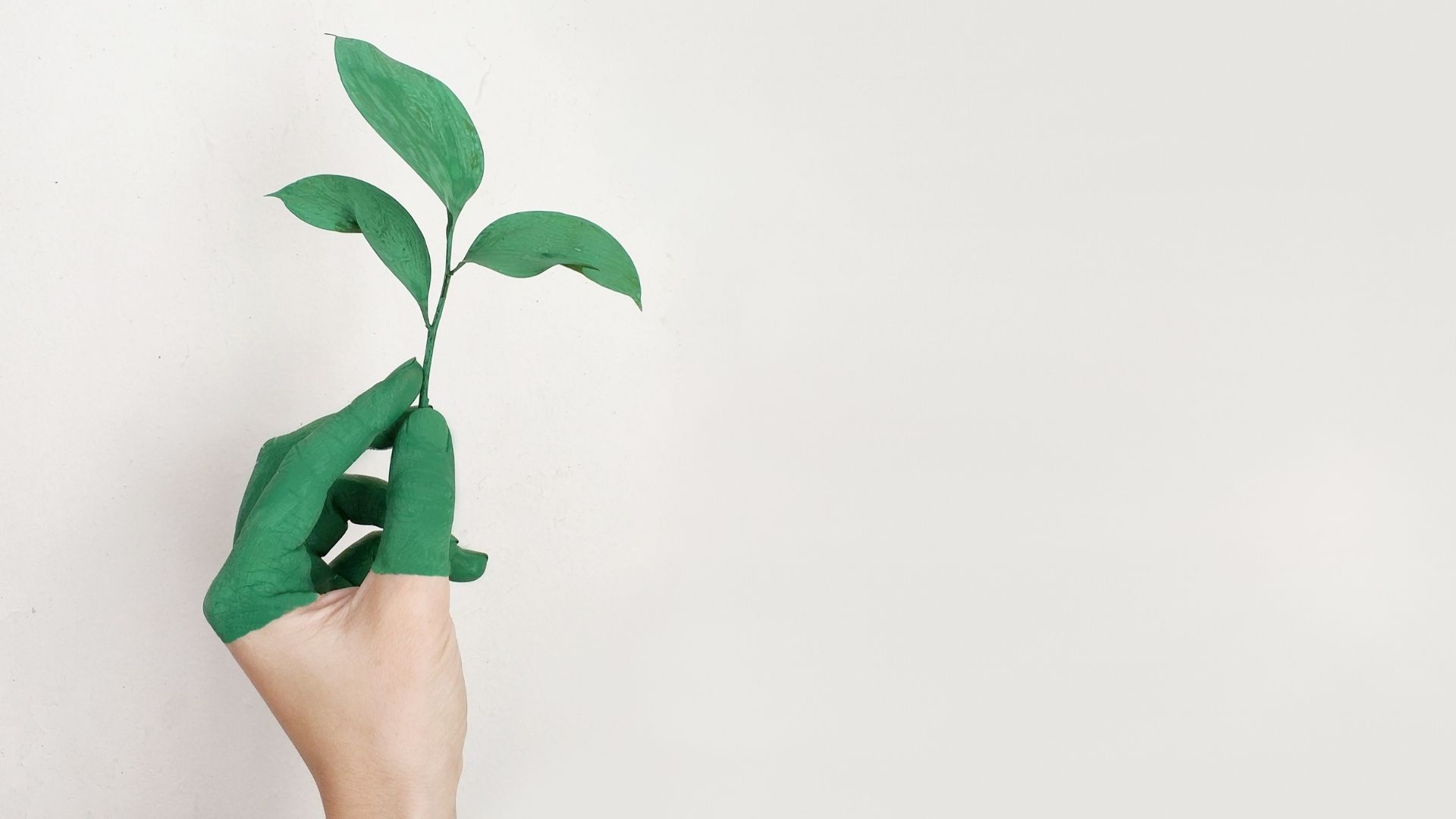 Evento plastic free: una sfida (im)possibile?